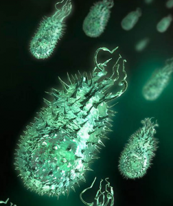 microbe